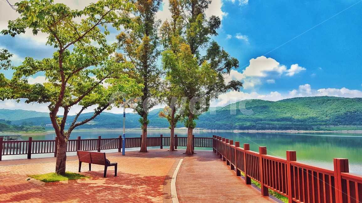 경주,호수,보문호,보문단지,풍경,자연,나무,벤치,자연,풍경,nature,landscape,한국자연풍경,한국자연경관,korea nature landscape,bench,furniture,가구