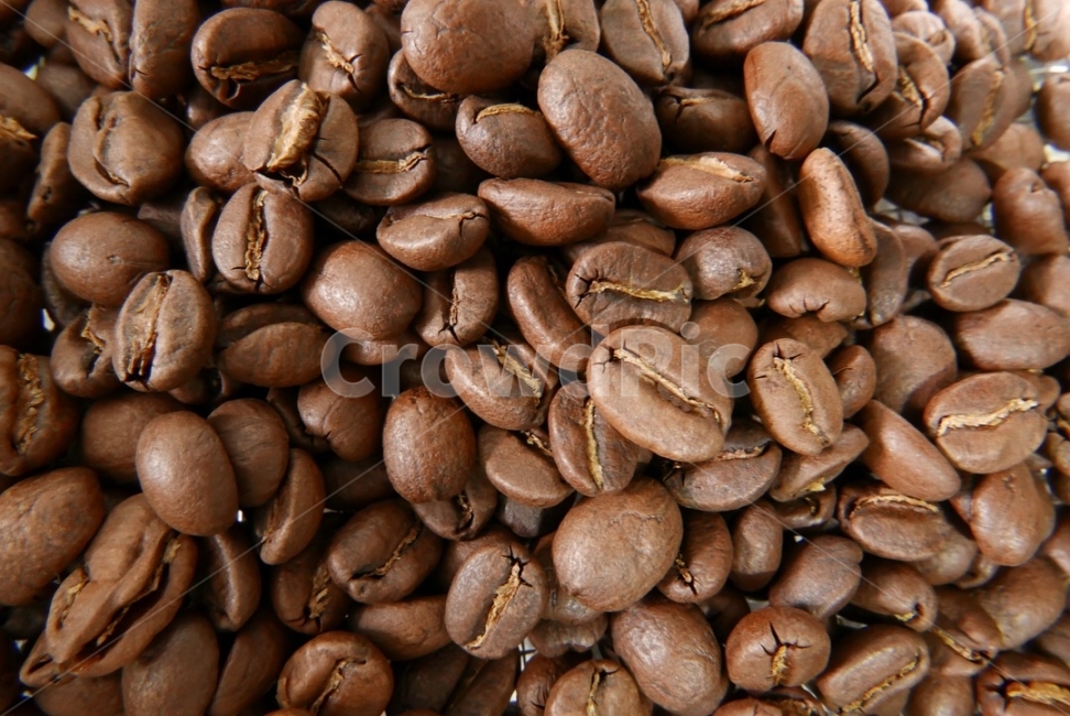 원두,로스팅,홈로스팅,홈카페,커피,생두,커피,카페,coffee,cafe