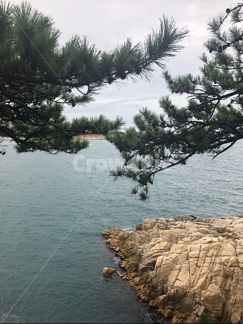 바다,하늘,나무,바위,풍경