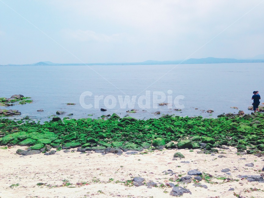 제주도,바다,여름,파도,바닷가