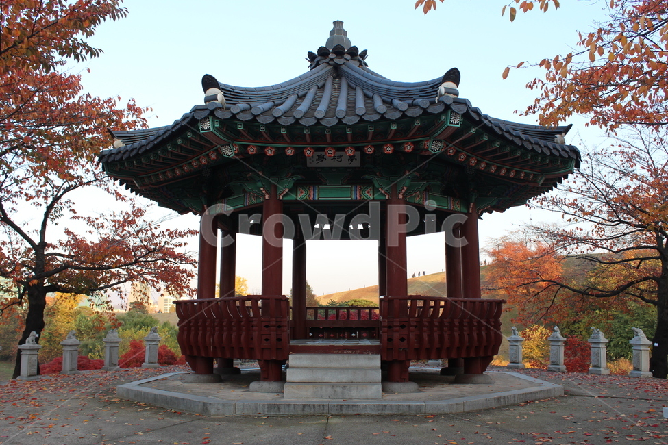 단풍나무,단풍나무잎,정자,가을풍경,풍경,붉은단풍,한국전통,한국문화,korean traditional,korean culture,건축물,건물외관,exterior,building,structure,architecture,construction