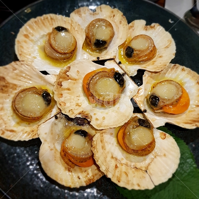 음식,가리비,조개,버터구이,관자