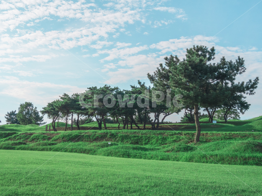 자연,풍경,하늘,잔디,공원,outdoors,옥외,자연,풍경,nature,landscape