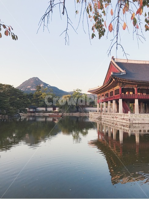 가을,정취,연못,경복궁,고궁,풍경,경회루,낙엽,서울,랜드마크