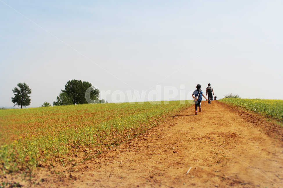 들판,자연,힐링,언덕,넓은벌판,자연,풍경,nature,landscape,사람,인물,인간,human,person,ground,바닥,gravel,자갈,dirt road,흙길,road,도로