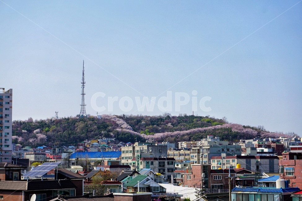 풍경,언덕,마을,동네,하늘,sky,도시,풍경,city,landscape