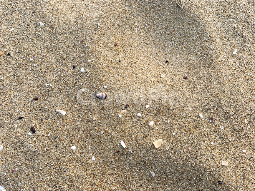 해변,모래사장,모래,자연,흙,조개,해변,바다,beach,sea