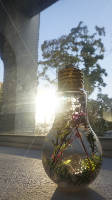 light,빛,flare,플레어,전구,가정장식,데코,인테리어소품,수중화분