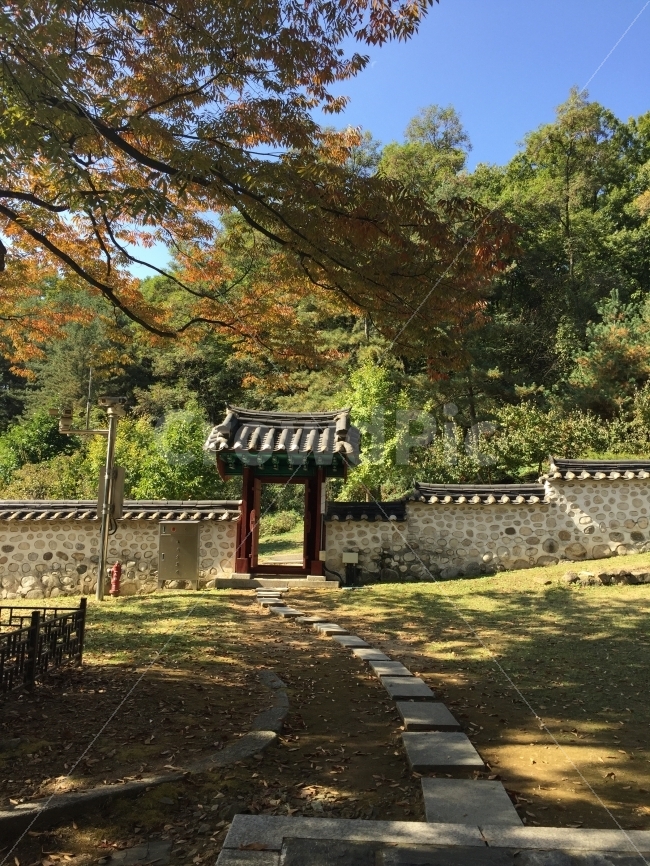 한국적,한국전통,전통적인,정원,한국정원,소풍,야외,수학여행,여행,한국기와,전통가옥,한국양식,기와집,유적지,자연,풍경,nature,landscape,한국자연풍경,한국자연경관,korea nature landscape,한국전통,한국문화,korean traditional,korean culture,outdoors,옥외,garden,arbour,정자