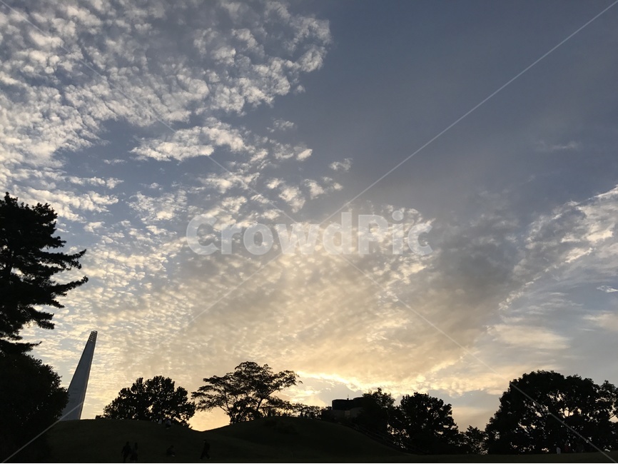 하늘,나무,공원,노을,해질녘,숲,산책,파란하늘,구름,자연,sky,tree,park,sunset,bluesky,평화,분위기,아름다운,nature,peaceful,beautiful,자연,풍경,nature,landscape,outdoors,옥외