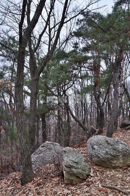 모락산,산,의왕시,자연,바위,나무,낙엽,계절,소나무,자연,풍경,nature,landscape
