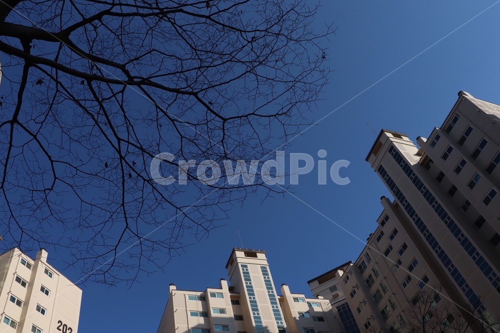 건물,building,하늘,나무,계절,감성사진,감성,색상,색채,채도,풍경,색감,경치,sky,조화,건축물,건물외관,exterior,building,structure,architecture,construction