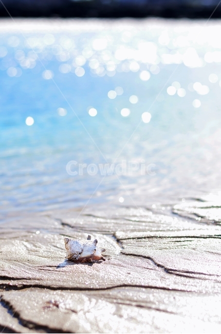 바다,그라데이션,모래,자연풍경,여름,로우앵글,소라,푸르른,해변,바다,beach,sea,감성,sensible,feeling,휴식,힐링,rest,relaxation,healing