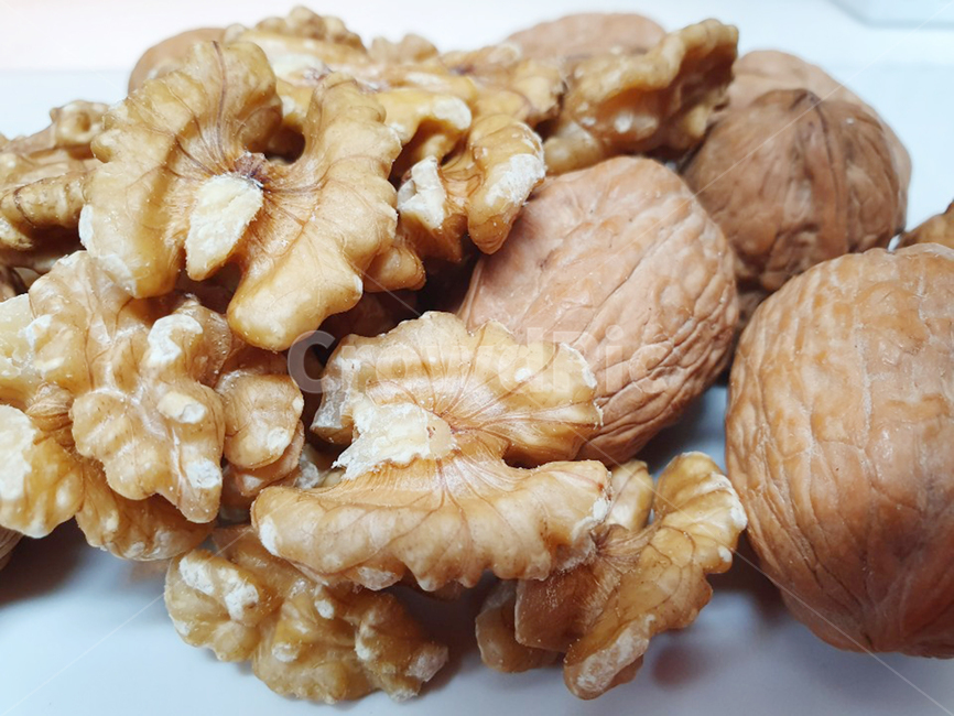 호두,간식,음식,너트,딱딱한,콩류,견과류,beans,pulse,nuts,dry fruits