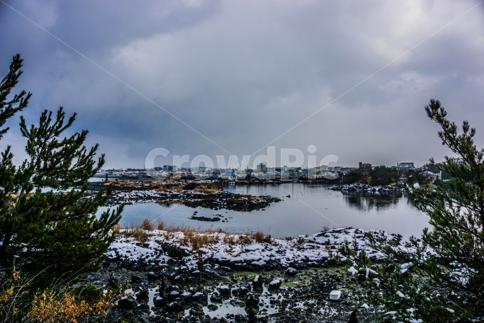 제주도,제주,겨울바다,바다,해안,하늘,나무,눈,겨울,계절,winter,season,자연,풍경,nature,landscape,한국자연풍경,한국자연경관,korea nature landscape,제주도,jeju,jeju island,land,땅,outdoors,옥외