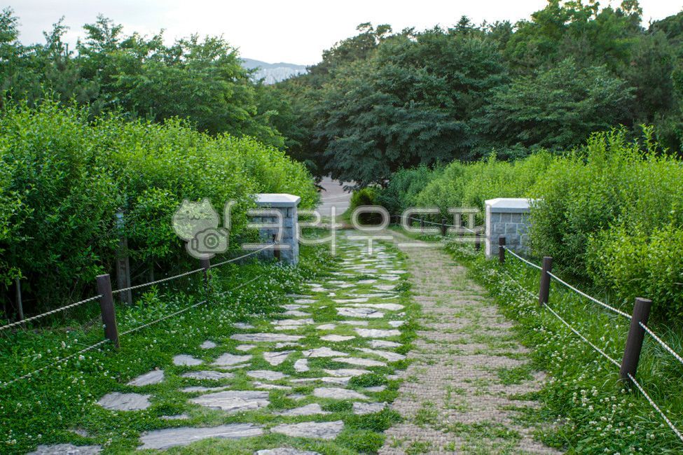 인천,공원,월미도,월미공원,산책,산책로,옥외,자연,도로,숲,나무,식물,돌,outdoors,nature,park,road,forest,tree,plant,stone