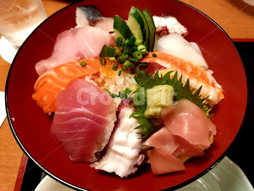 meal,식사,dish,요리,food,음식,해산물덮밥,일식,카이센동,일본음식,음식,식재료,요리,food,cook,meal,dishes,food reserves,일식,일본음식,일본요리,Japanese food,Japanese dishes,Japanese meal,Japanese cook