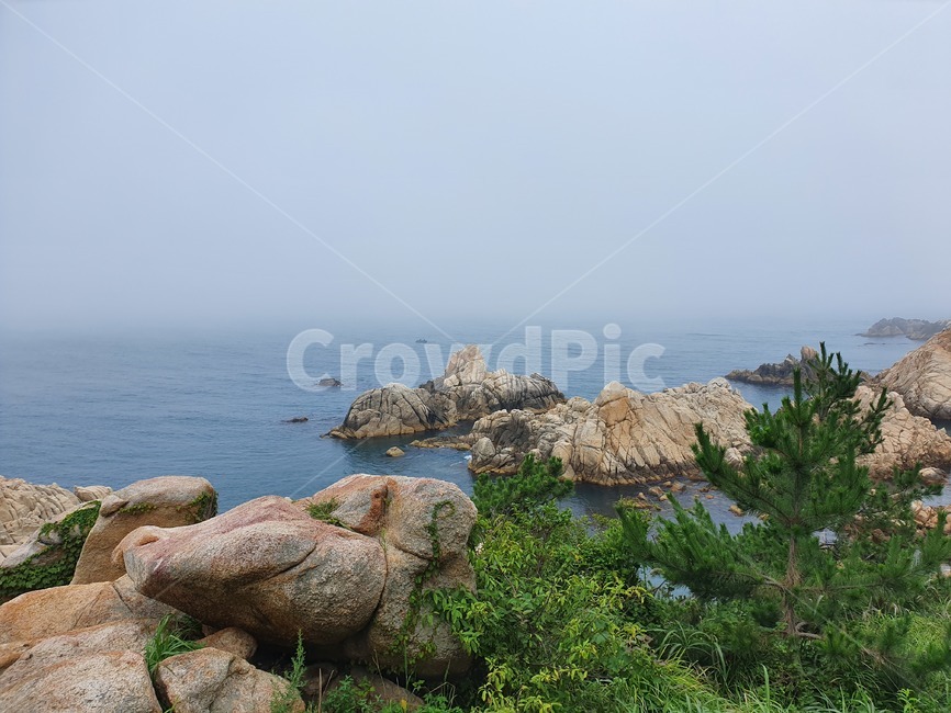 promontory,곶,암석,바다,안개