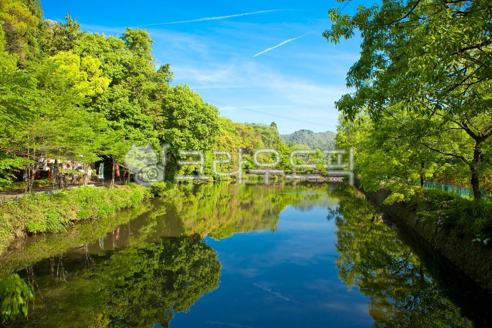 일본,교토,japan,kyoto,아라시야마,water,물,nature,자연,outdoors,옥외,저수지
