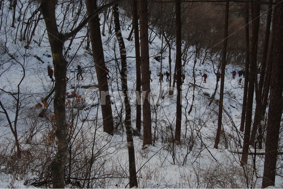 태백산,100대명산,백두대간,국립공원,자연의위대함,등산로,능선,아름다움,신비스런산,돌,산행,힐링,자연,감성,등산,계절,여행,한국,한국명산,한국등산,풍경,눈,나무,하늘,바람,바람소리,환경,생태계,산,땅,겨울,계절,winter,season,자연,풍경,nature,landscape,한국자연풍경,한국자연경관,korea nature landscape,사람들,대중,군중,other people,crowd,스포츠,레저,운동,sports,leisure,exercise,outdoors,옥외,land
