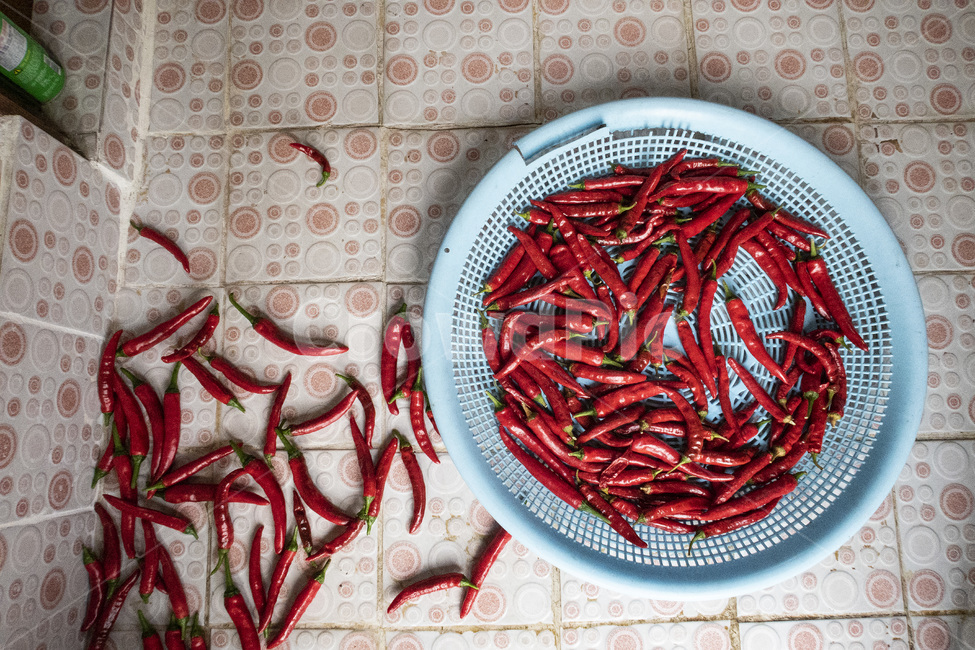 고추,빨강,빨강고추,가을,한국,korea,red,hotpepper,pepper,autumn,감성사진