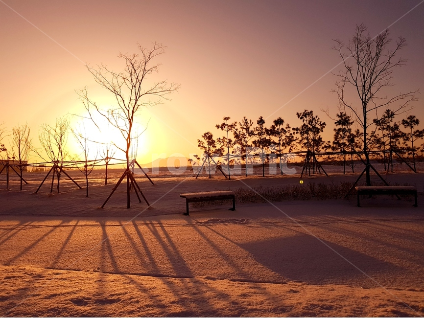 일출,해,풍경,자연,겨울,나무,겨울,계절,winter,season,자연,풍경,nature,landscape,outdoors,옥외,sky,하늘,dusk,황혼,sunset,일몰,red sky,붉은 하늘,dawn,새벽