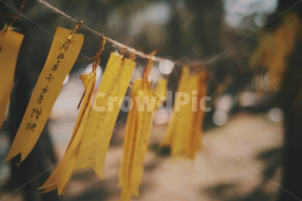 바람,건강,가족,기원,소망,노란리본,필름,감성