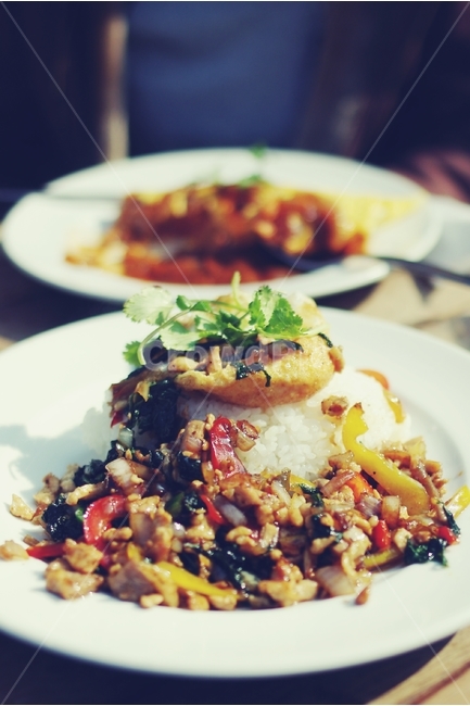 덮밥,카레,음식,식사,food,dish,접시,음식,식재료,요리,food,cook,meal,dishes,food reserves,감성,sensible,feeling