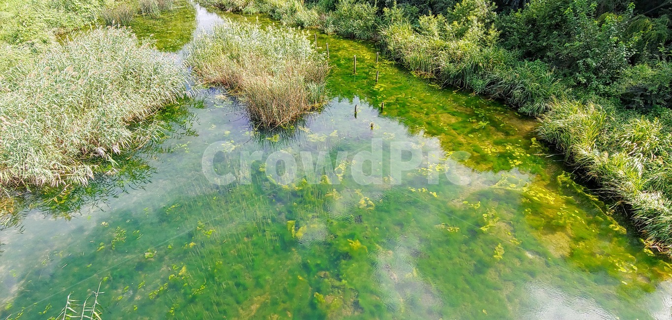 nature,자연,land,나라,outdoors,옥외,water,marsh,습지,bog,변소,swamp,늪