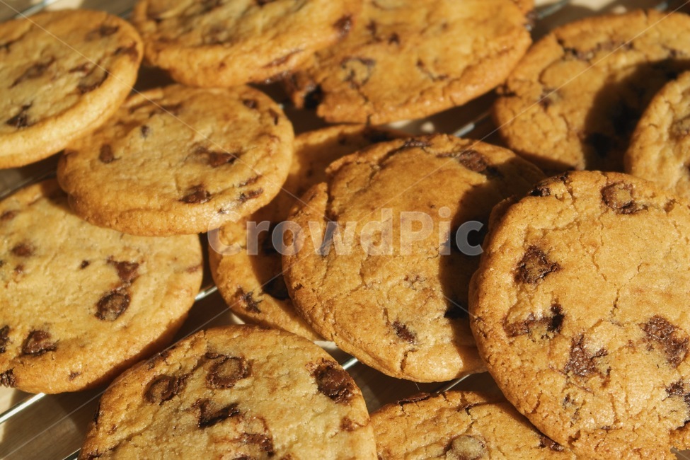 초코칩쿠키,쿠키,cookie,디저트,음식,과자,초코칩,베이킹,chocolatechip,후식,간식,음식,식재료,요리,food,cook,meal,dishes,food reserves,디저트,간식,후식,dessert,snack