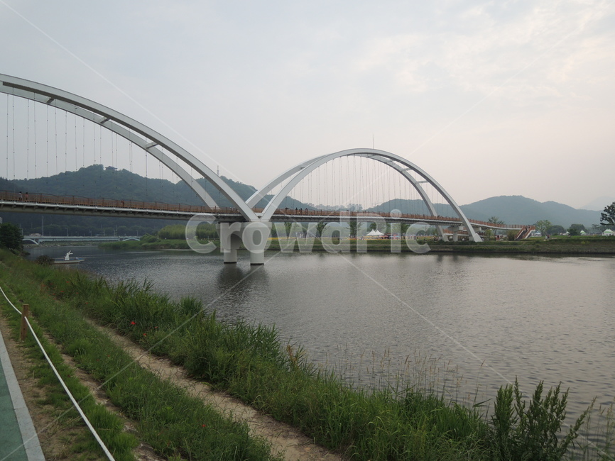 울산,태화강,십리대숲길,자연,산책