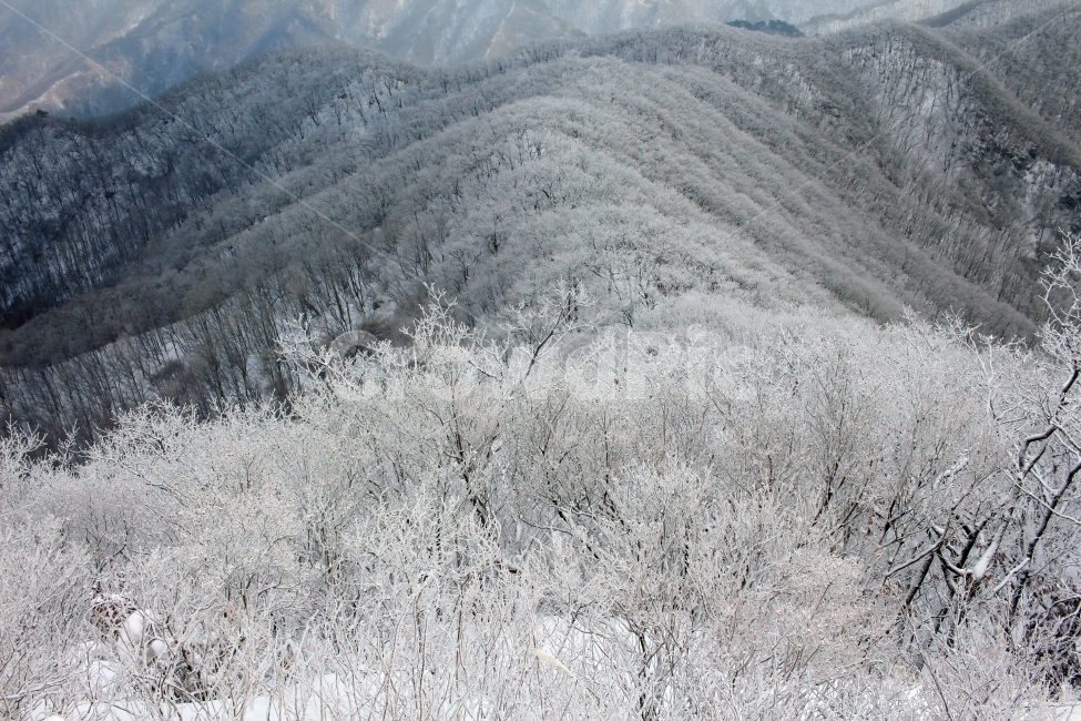 풍경,눈,눈꽃,자연,나무,겨울,나뭇가지,계절,winter,season,식물,plants,nature,함박눈,설경,겨울풍경,landscape,산,눈내리는날,한국,눈풍경,자연풍경,느낌,12월,등산,sensible,feeling,emotion,겨울,계절,winter,season,자연,풍경,nature,landscape,한국자연풍경,한국자연경관,korea nature landscape,slope,경사,outdoors,옥외,tree,plant,ice,얼음