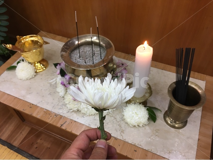 장례식,장례식장,제기,분향,촛불,국화,꽃,flower