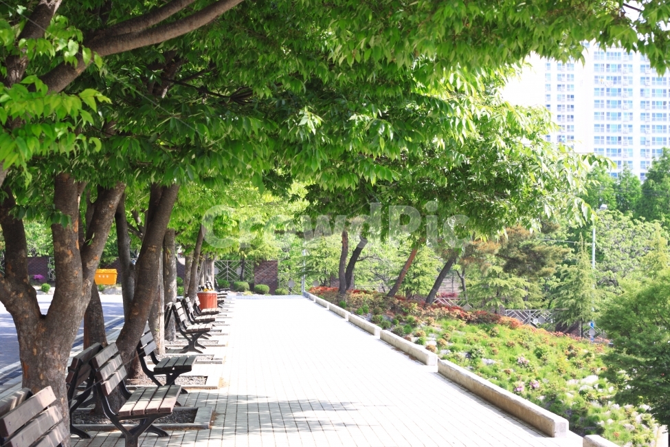 봄,풍경,자연풍경,사월,자연,의자,벤치,거리,길,도시,풍경,city,landscape,한국도시풍경,한국도시경관,korea cityscape,식물,자연,plants,nature,나무,trees,wood,garden,정원,outdoors,옥외,arbour,정자