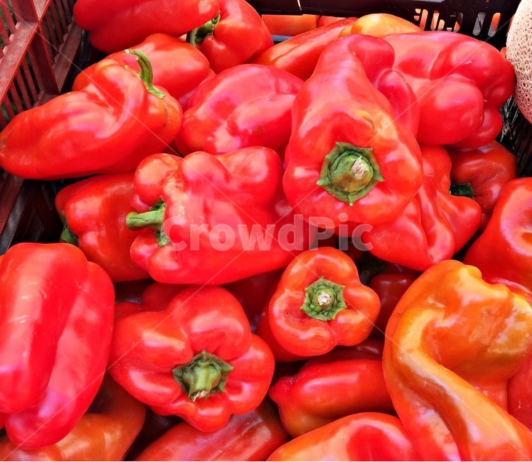 야채,채소,파프리카,빨간,시장,싱싱한,신선한,음식,식재료,요리,food,cook,meal,dishes,food reserves,채소,야채,vegetables