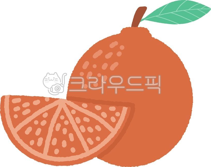 오렌지,한라봉,귤,과일,제철과일,여름과일,제주도,과일일러스트,상큼한과일,귀여운과일,오렌지색,주황색