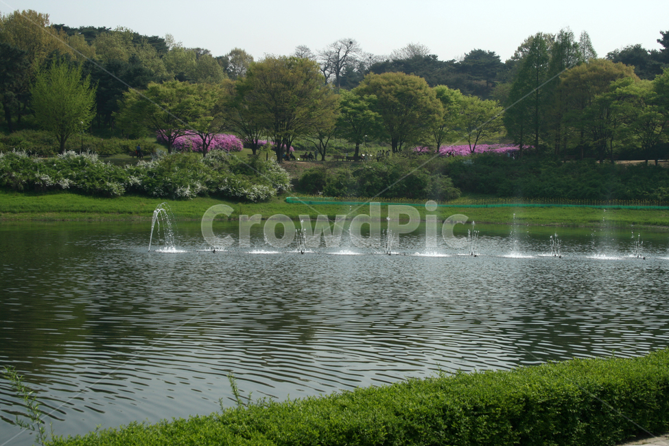 호수,분수,봄,봄날,감성,spring,공원,풍경,봄,계절,spring,season,자연,풍경,nature,landscape,water,물,outdoors,옥외