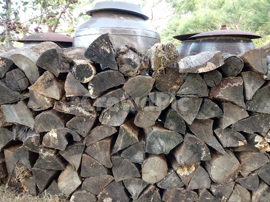 항아리,나무,장작,땔감,재목,나무,trees,wood