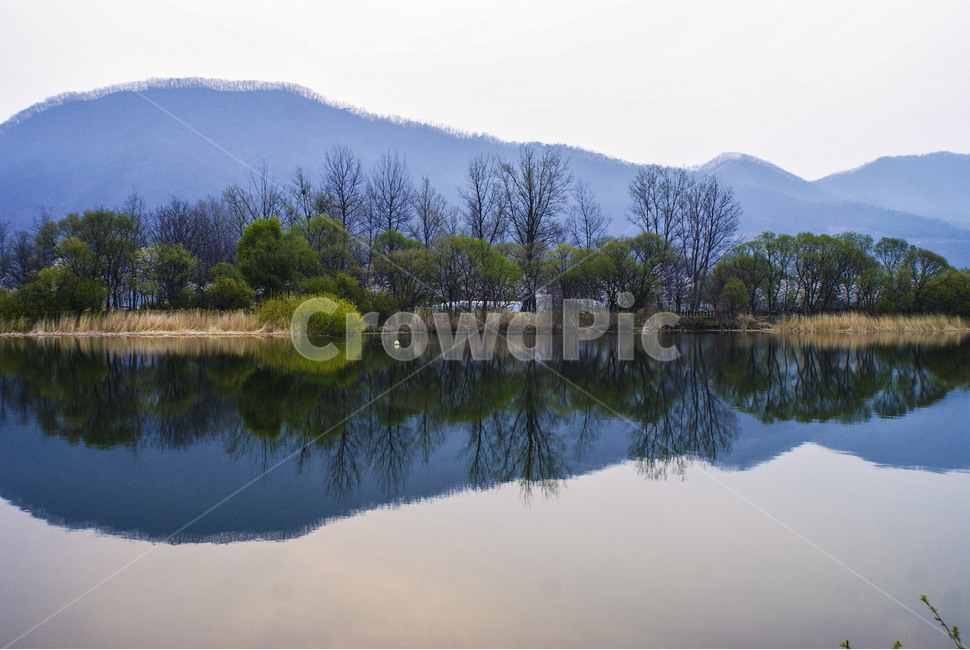 풍경,자연,반영,호수,나무,한국자연풍경,한국자연경관,자연,풍경,nature,landscape,water,물,outdoors,옥외,lake,tree,plant,식물,fir,전나무
