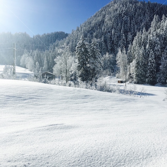 스위스,인터라켄,swiss,융프라우,jungfrau,겨울,계절,winter,season