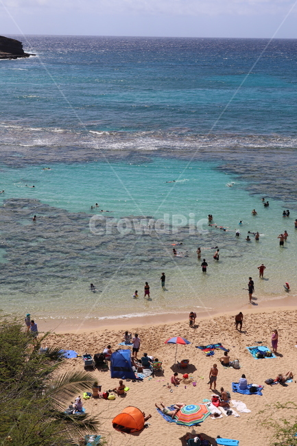 sea,바다,자연,물,하와이,해수욕장,청량,shoreline,ocean,nature,여름,계절,summer,season,해변,바다,beach,sea,outdoors,옥외,water,대양,해안선