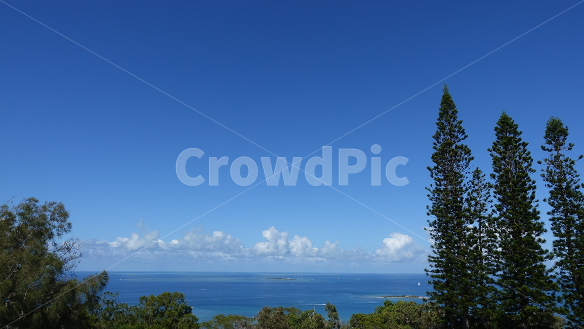 자연,blue,바다,ocean,sea,nature,수평선,나무,tree,사이프러스,green,summer,여름,휴가,vacation,휴양지