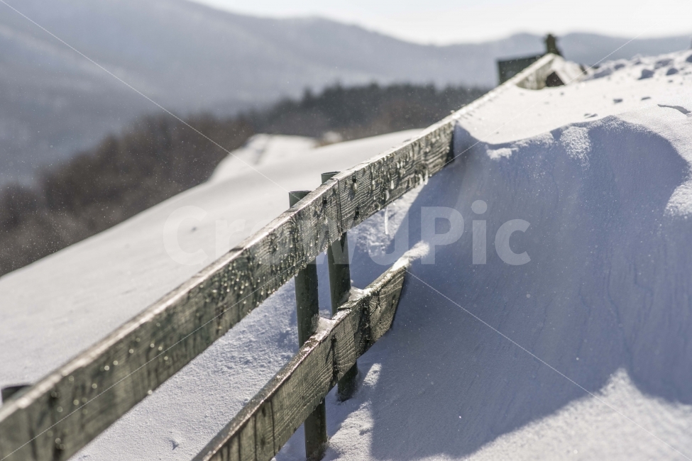 겨울,눈,풍경,양대목장,대관령,여행,한국,겨울풍경,목장,겨울,계절,winter,season