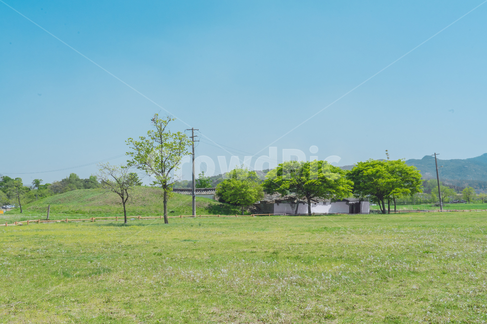 풍경,봄,여름,감성사진,자연,일본느낌,휴식,힐링,식물,자연,풍경,nature,landscape,plant,grass,잔디,lawn