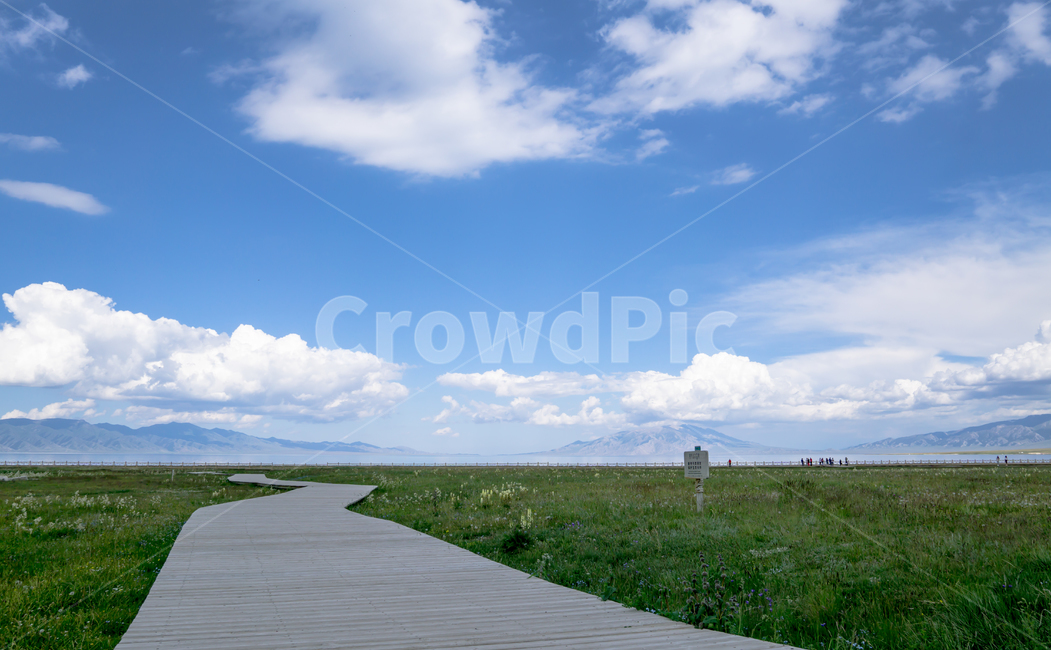 길,초원,하늘,들판,호수,파란하늘,자연,풍경,nature,landscape,boardwalk,산책로,building,건물,bridge,다리
