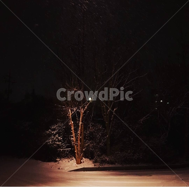 밤,눈,분위기,감성,골목길,겨울,계절,winter,season