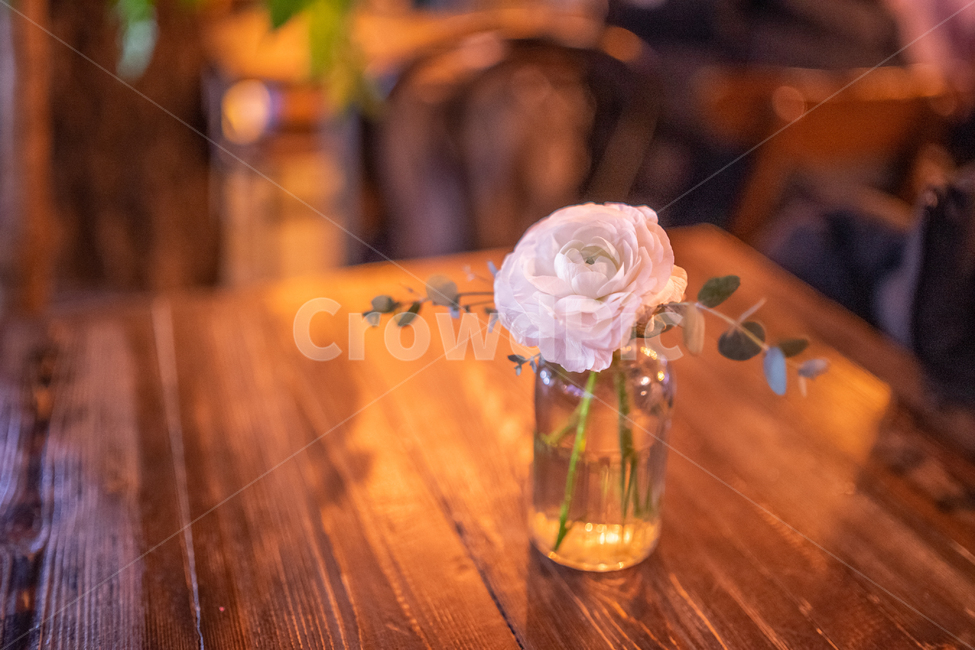 카페,감성,실내,장미,꽃병,식물,테이블,따뜻한,월계수,꽃,flower,실내용화초,화분,화초,house plant