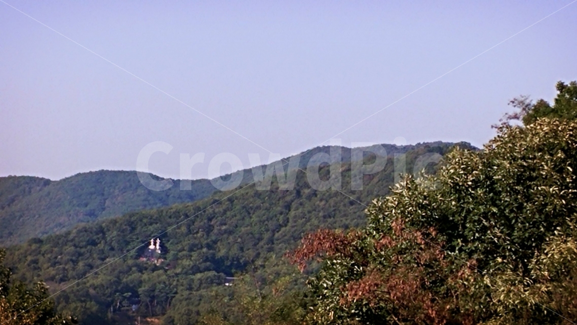 산,초가을,자연,고양시,나무,가을,계절,fall,autumn,season,자연,풍경,nature,landscape,outdoors,옥외