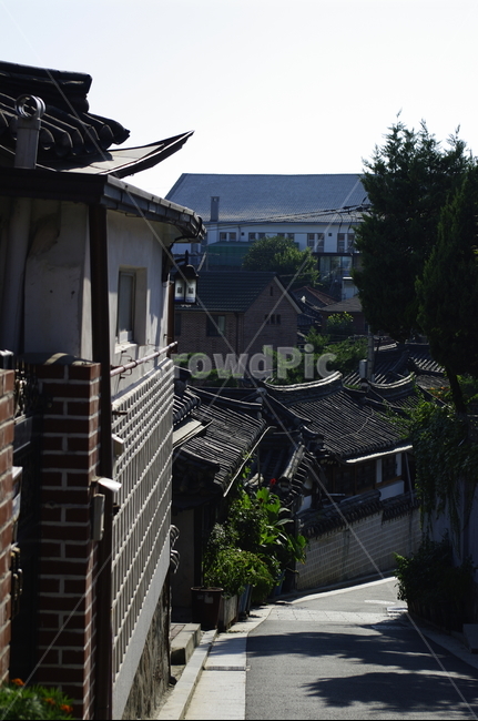 골목길,한옥,담,전통가옥,한국,roof,지붕