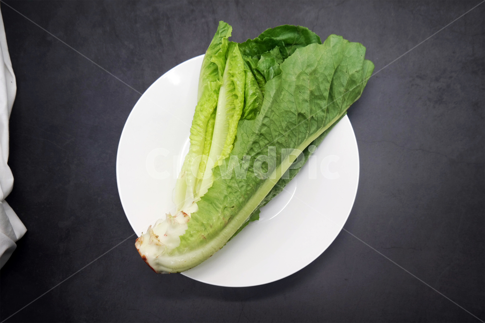 채소,야채,상추,로메인,샐러드,녹색,건강,채식주의자,채식,vegetable,lettuce,건강,헬스웨어,헬스케어,healthware,health care,채소,야채,vegetables